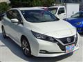 2019 Nissan Leaf
