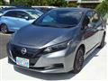 2025 Nissan Leaf
