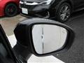 2025 Renault Renault Others