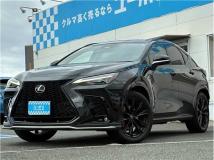 2024 Lexus Other