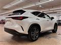 2023 Lexus Other
