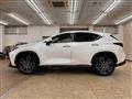 2023 Lexus Other