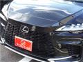 2025 Lexus RX