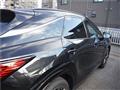 2025 Lexus RX