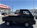 2017 Suzuki Carry Truck