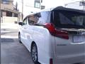 2020 Toyota Alphard G