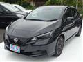 2022 Nissan Leaf