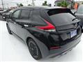 2022 Nissan Leaf
