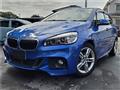 2015 BMW BMW Others