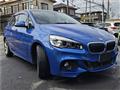 2015 BMW BMW Others