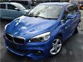 2015 BMW BMW Others
