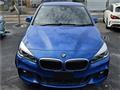 2015 BMW BMW Others