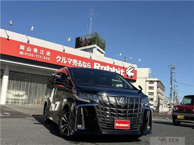 2019 Toyota Alphard G
