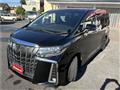 2019 Toyota Alphard G