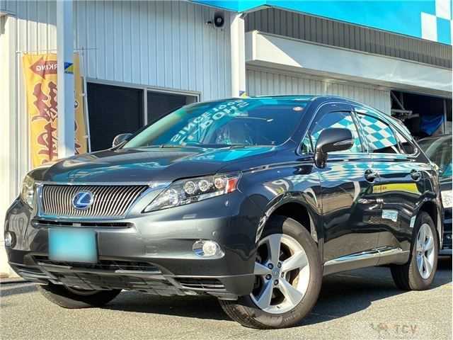 2009 Lexus RX