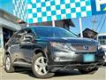 2009 Lexus RX