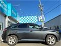 2009 Lexus RX
