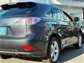 2009 Lexus RX