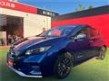 2022 Nissan Leaf