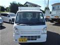 2019 Suzuki Carry Truck