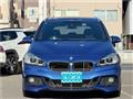 2015 BMW BMW Others