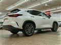 2023 Lexus Other