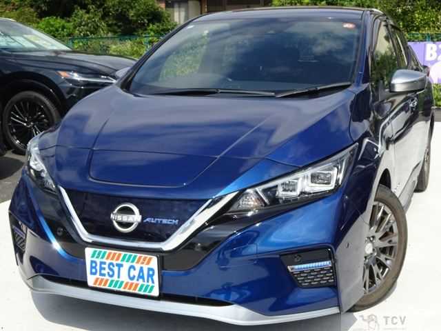 2021 Nissan Leaf