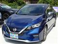 2021 Nissan Leaf