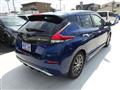 2021 Nissan Leaf