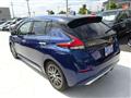 2021 Nissan Leaf
