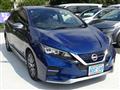 2021 Nissan Leaf