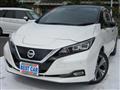 2019 Nissan Leaf