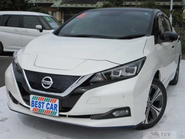 2019 Nissan Leaf