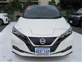 2019 Nissan Leaf