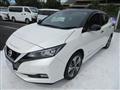 2019 Nissan Leaf