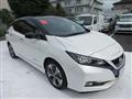 2019 Nissan Leaf