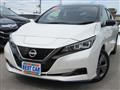 2021 Nissan Leaf