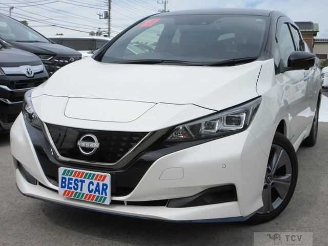 2021 Nissan Leaf
