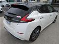 2021 Nissan Leaf
