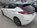 2021 Nissan Leaf