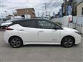 2021 Nissan Leaf