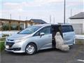 2013 Honda Odyssey