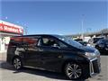 2019 Toyota Alphard G