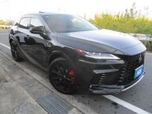 2025 Lexus RX