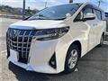 2020 Toyota Alphard G