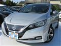 2019 Nissan Leaf