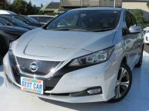 2019 Nissan Leaf