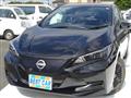 2023 Nissan Leaf