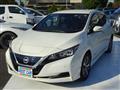 2020 Nissan Leaf