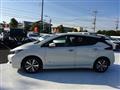2020 Nissan Leaf